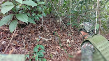 Ejército destruyó cuatro minas antipersonales