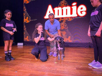 Barrabás, perro rescatado pasó el casting y participará en el musical Annie en Surco