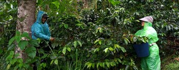 De acuerdo con información de