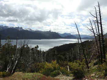 El bosque sumergido guarda bellezas