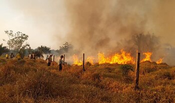 Los incendios responden a la