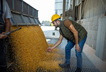 A nivel global, el mercado