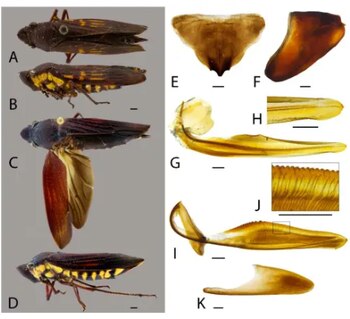 “Antes del trabajo que realizamos,