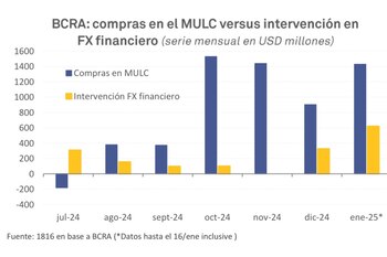 La intervención del BCRA en