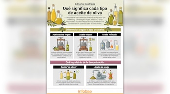 Infografía con tipos de aceite de oliva. Se muestran botellas, una prensa mecánica, un proceso de refinación, y texto explicativo.