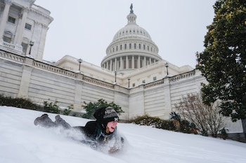 Emilia O'Brien, de Michigan, se