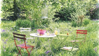 7 claves prácticas para restaurar el orden y la vitalidad en el jardín