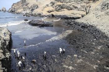 Derrame de petróleo de Repsol