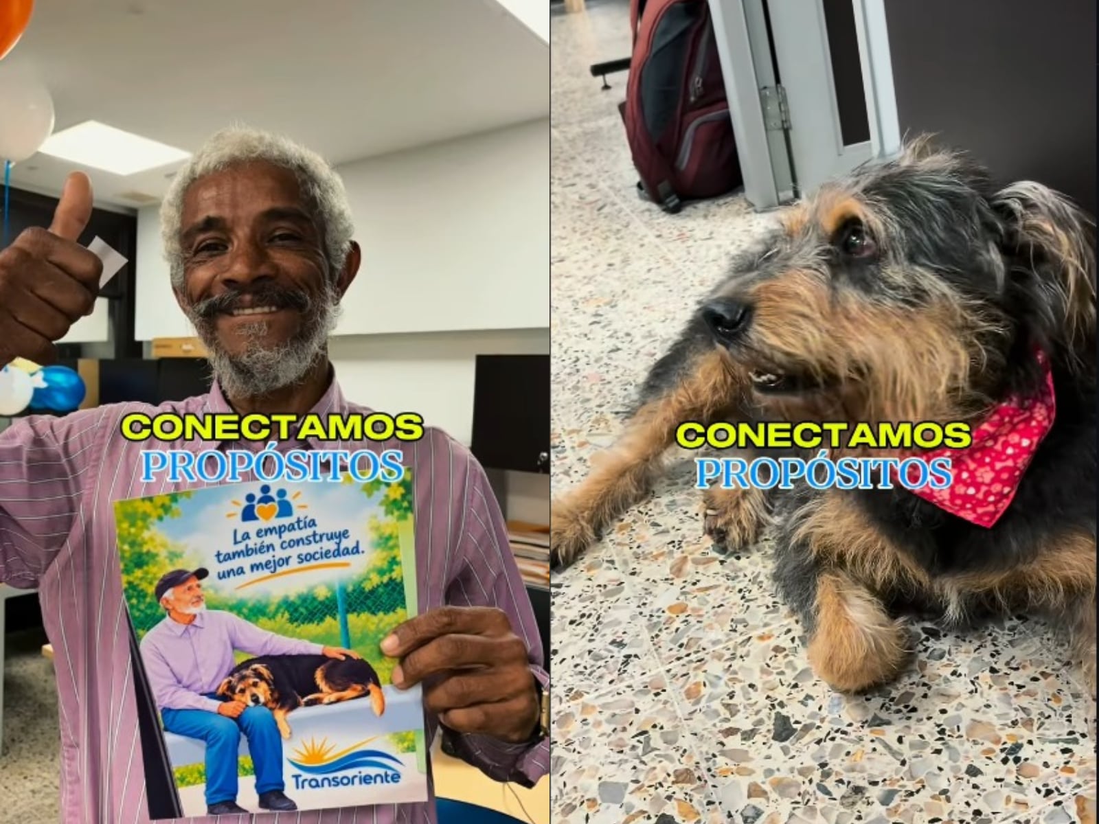 Transoriente ofreció disculpas públicas a José Luis Villa y le entregó tiquetes de cortesía y accesorios para su mascota - crédito captura de video transorientevirtual / Instagram