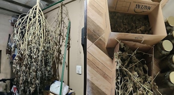 En la casa también hallaron más de cuatro kilos de marihuana