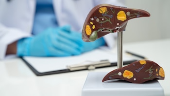 Un estudio revela que unas