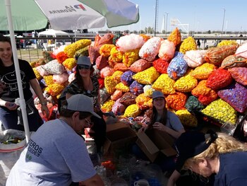 Ellos son algunos de los