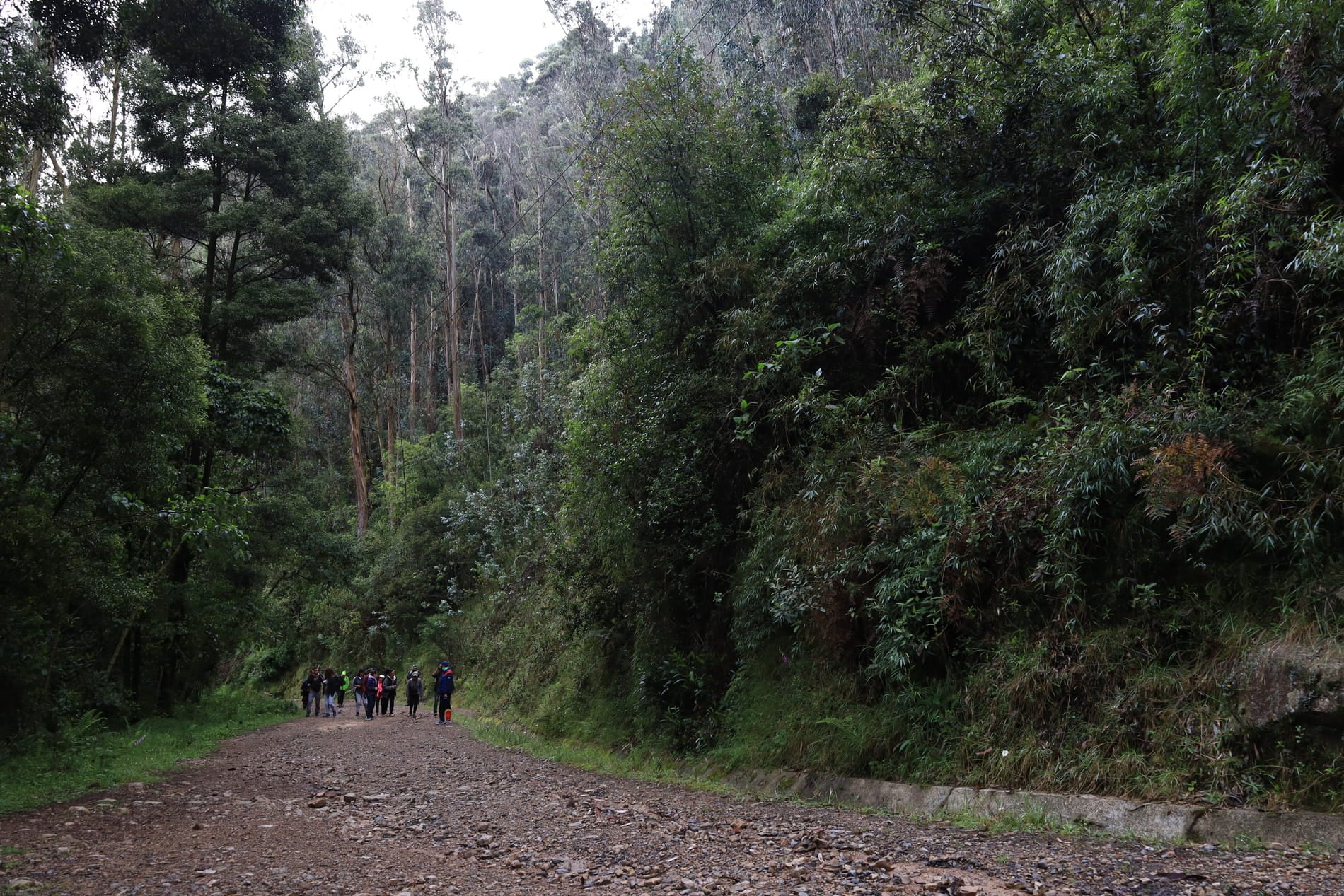 La programación de acceso a los caminos de Bogotá puede consultarse en la web oficial de la Eaab y en la app Caminos de los Cerros Orientales - crédito Eaab
