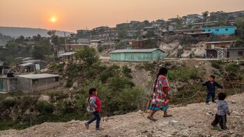 Durante muchos años, el cultivo
