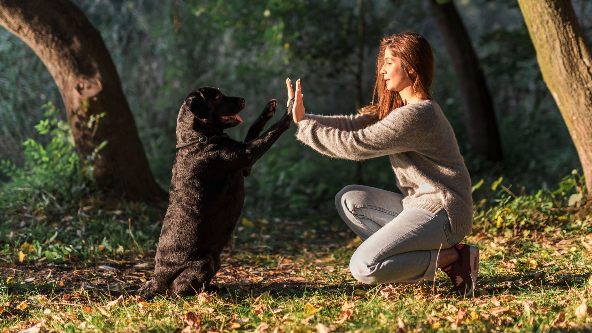 Disfrutar de la compañía de un perro en la adolescencia reduce, según el medio catalán, el estrés significativamente. / Freepick