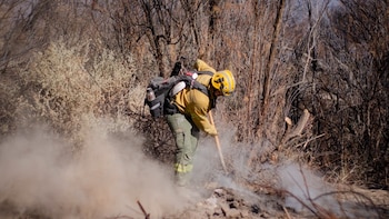 Los focos de incendio que quemaron más de 200 hectáreas están contenidos en Cafayate