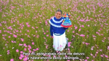 (Impresión de pantalla video)