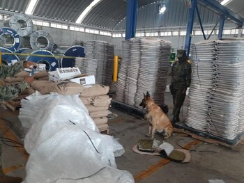 Un binomio canino ayudó a