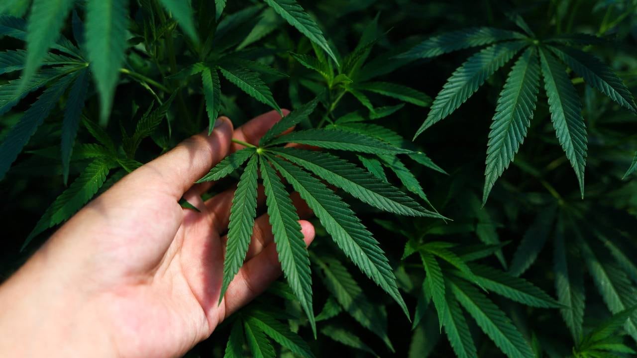 Según explicó el gobernador, existe una situación “crítica de emergencia económica y financiera”