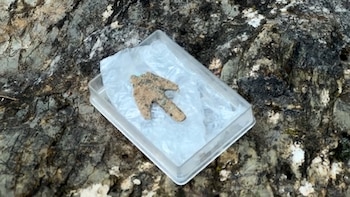 Uno de los hallazgos (Crédito: