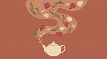 Ilustración de una tetera blanca que emite vapor con manzanilla, rodajas de jengibre, pétalos rojos y hojas sobre un fondo terracota.