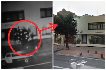 La permanencia de este árbol,