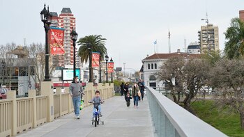 Tigre no acatará lo comunicado