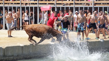 A bull chasing revellers jumps