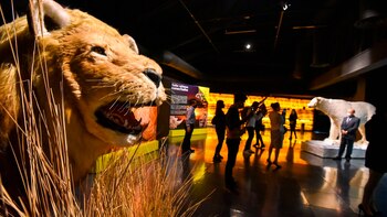 En fotos, la reapertura del Centro Cultural Toluca