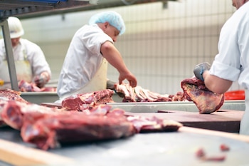 Del total de carne producida