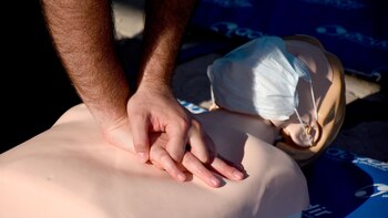 la Fundación para el Estudio