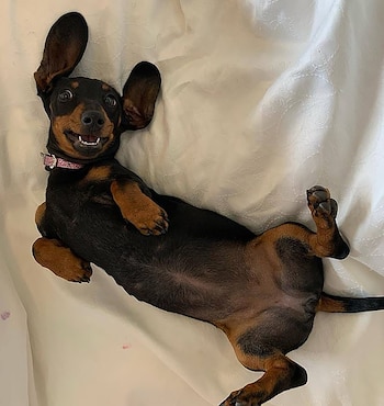 Se estima que Valerie se