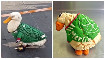 Merlín, el pato mundialista, ya tiene su propia concha en la CDMX: dónde conseguirla