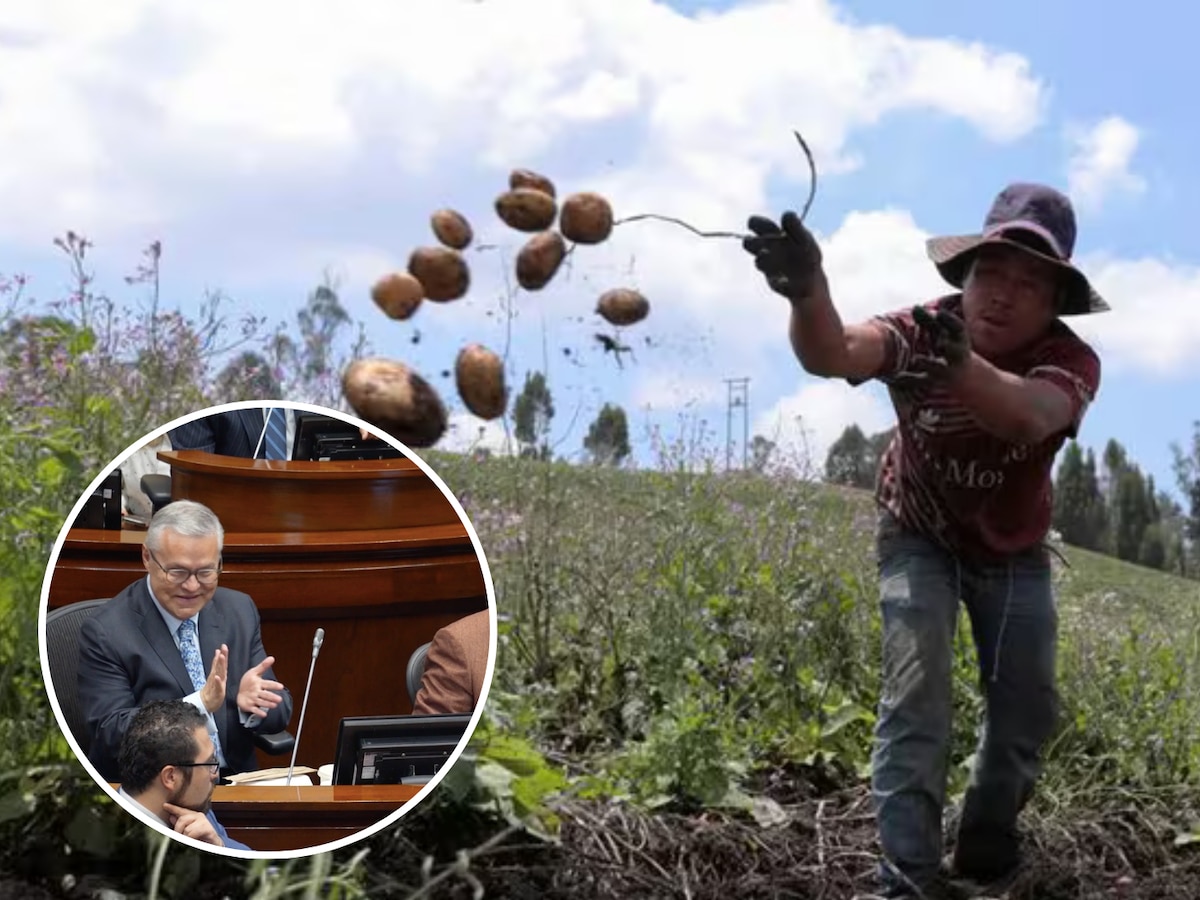 Cámara de Representantes aprueba ponencia de la Jurisdicción Agraria y el proyecto sigue su trámite en el Congreso - Infobae