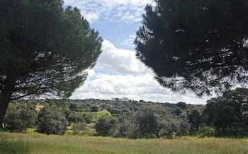 El Parque Forestal de Montegancedo