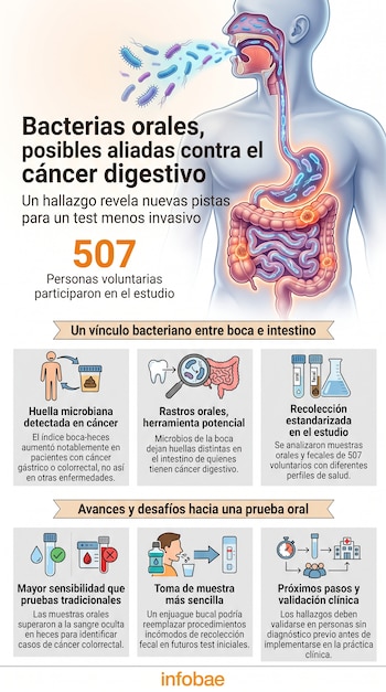 Infografía con un dibujo del sistema digestivo, bacterias flotando sobre el rostro de una persona y paneles explicativos con iconos.