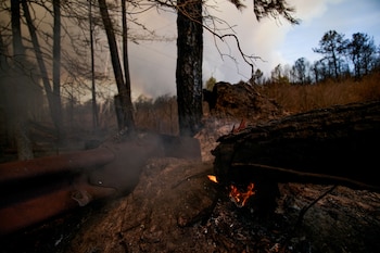 Las alertas de bandera roja en el Valle del Hudson y las montañas Catskill reflejan condiciones de humedad por debajo del 35% y vientos de hasta 40 km/h (REUTERS/Eduardo Muñoz)