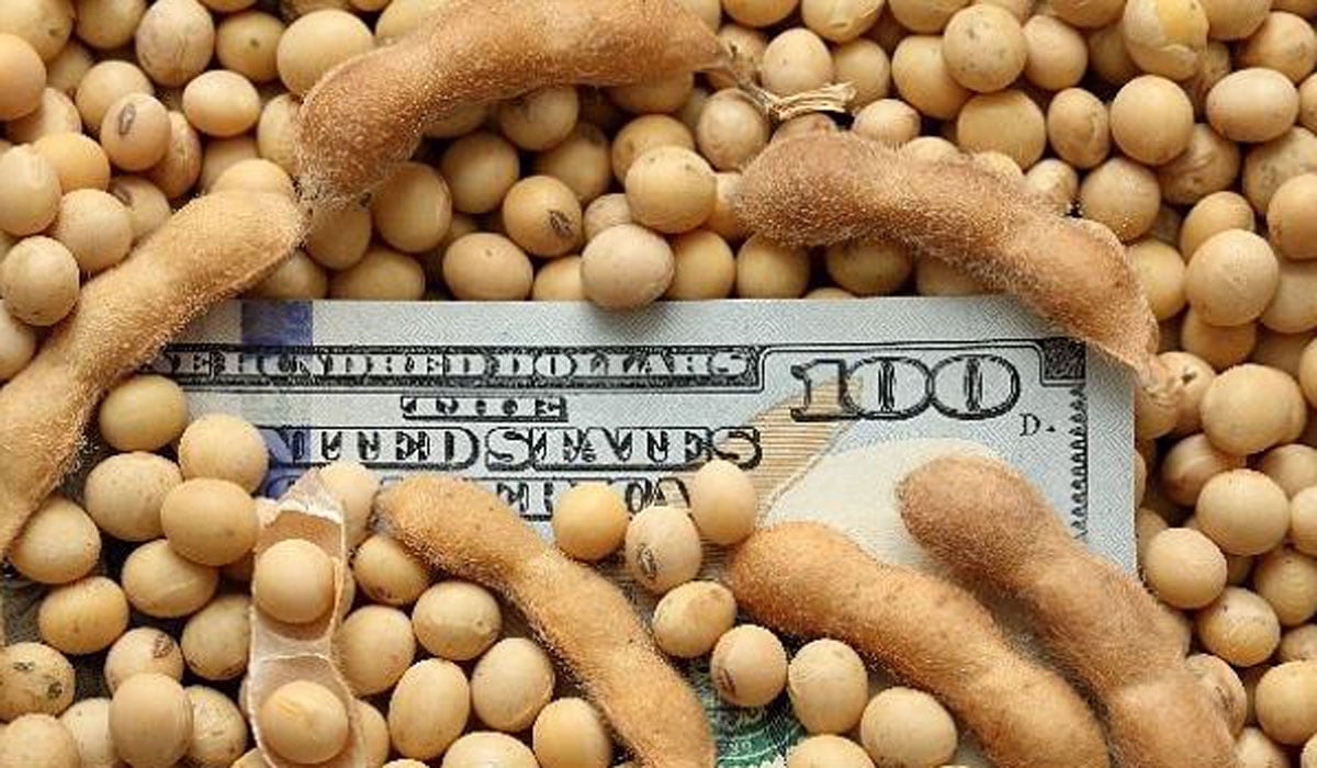 Las retenciones representan el 4% de los ingresos tributarios.