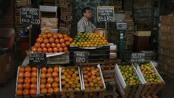 Hace dos semanas se evidencia