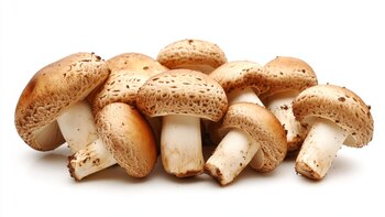 Existen algunos métodos que te