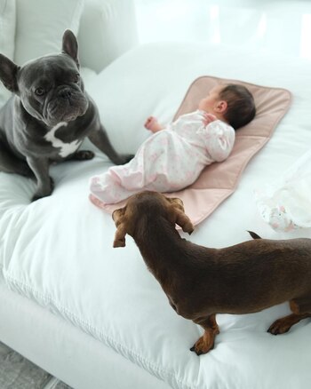 Olivia Agüero, custodiada por las