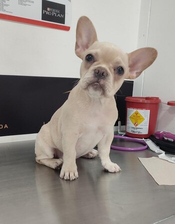 Denuncia en redes sociales