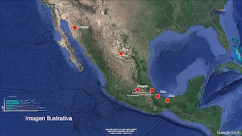 La UNAM creó una herramienta