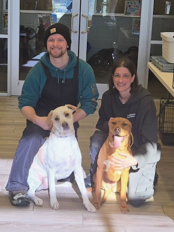 Dos perros fueron rescatados en