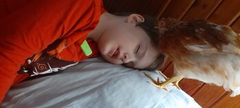 Irma llegó a la casa