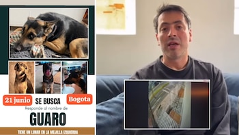 Actor que denunció el robo de su perro tras ser víctima de ladrones que le dieron escopolamina contó que a los bandidos se les escapó ‘Guaro’
