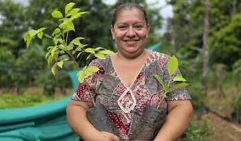 Mujeres de Bijagual de Acosta y Carrizal de León Cortés producen especies forestales que serán utilizadas para la protección de nacientes y zonas de recarga hídrica en comunidades rurales. Cortesía: Coopesantos