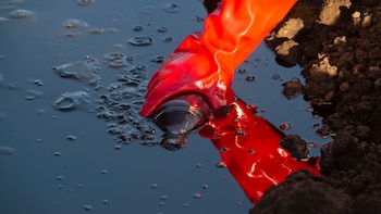 Las zonas en las que