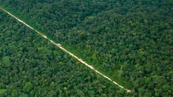Un kilo de cocaína puesta