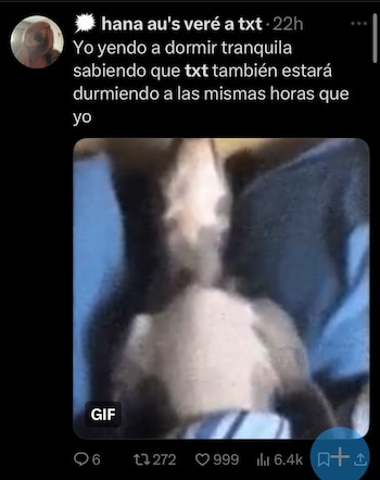 memes